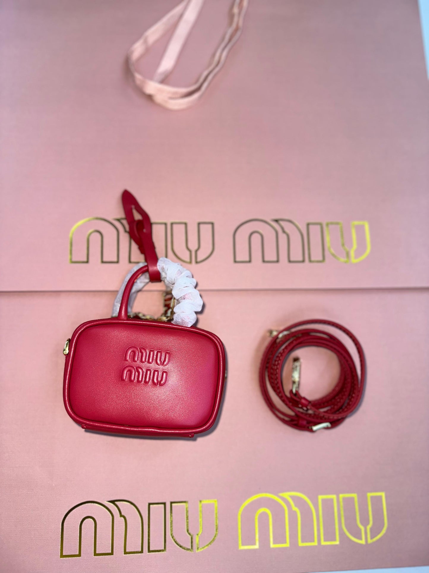 Miu Miu Leather Micro Bag in Brown | Master Brands
