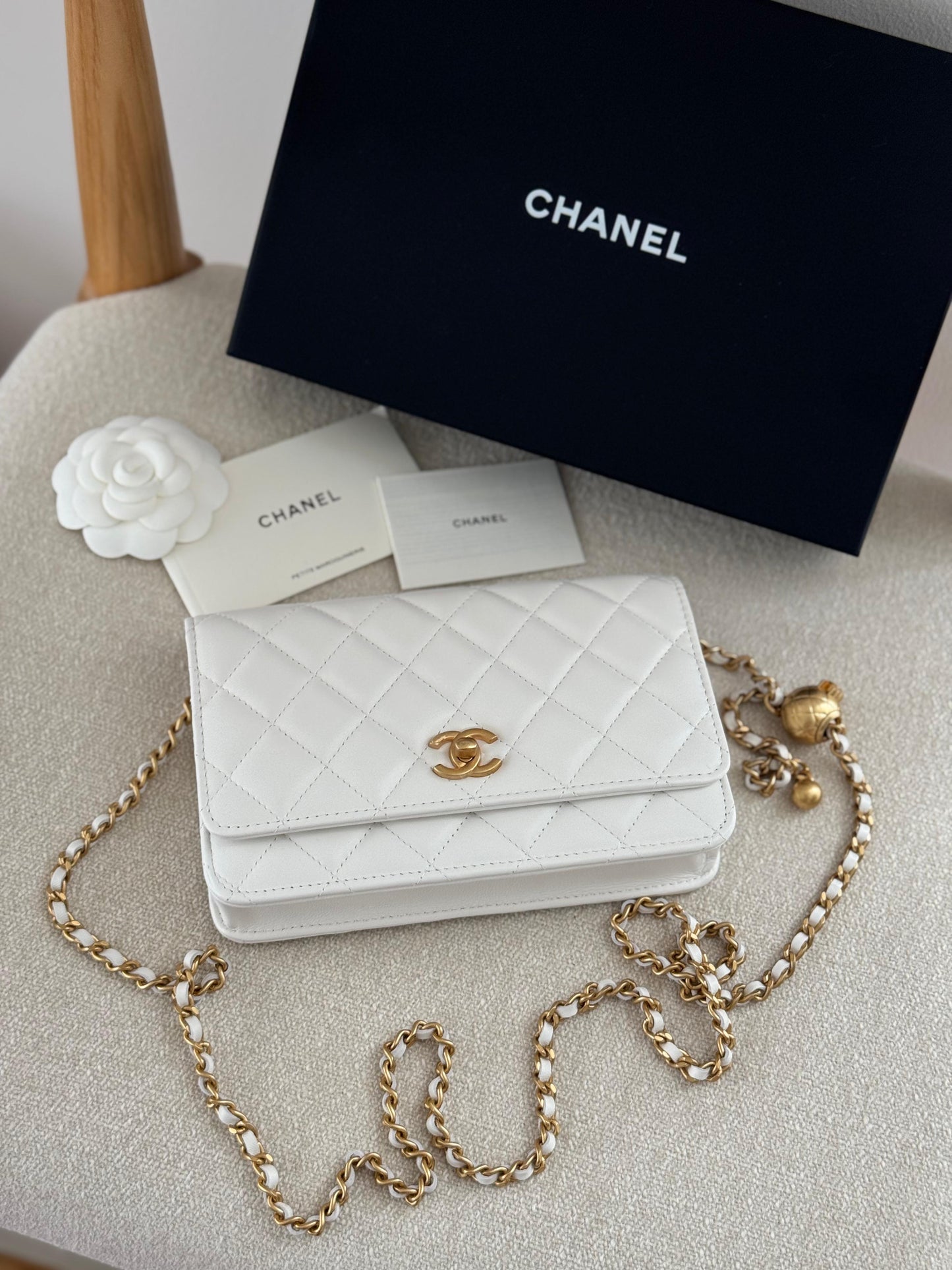 MasterBrands Luxury Chanel CC Quilted Caviar Leather Bag