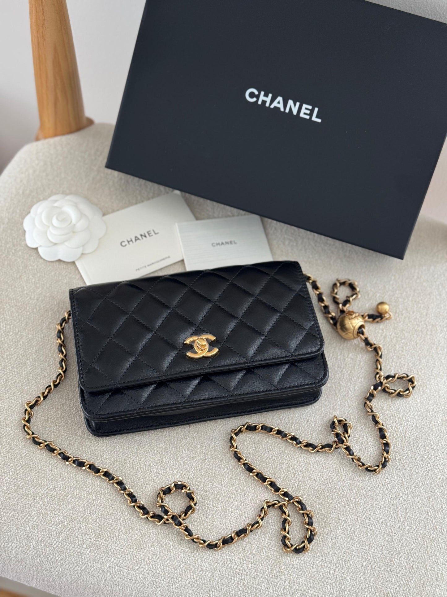MasterBrands Luxury Chanel CC Quilted Caviar Leather Bag