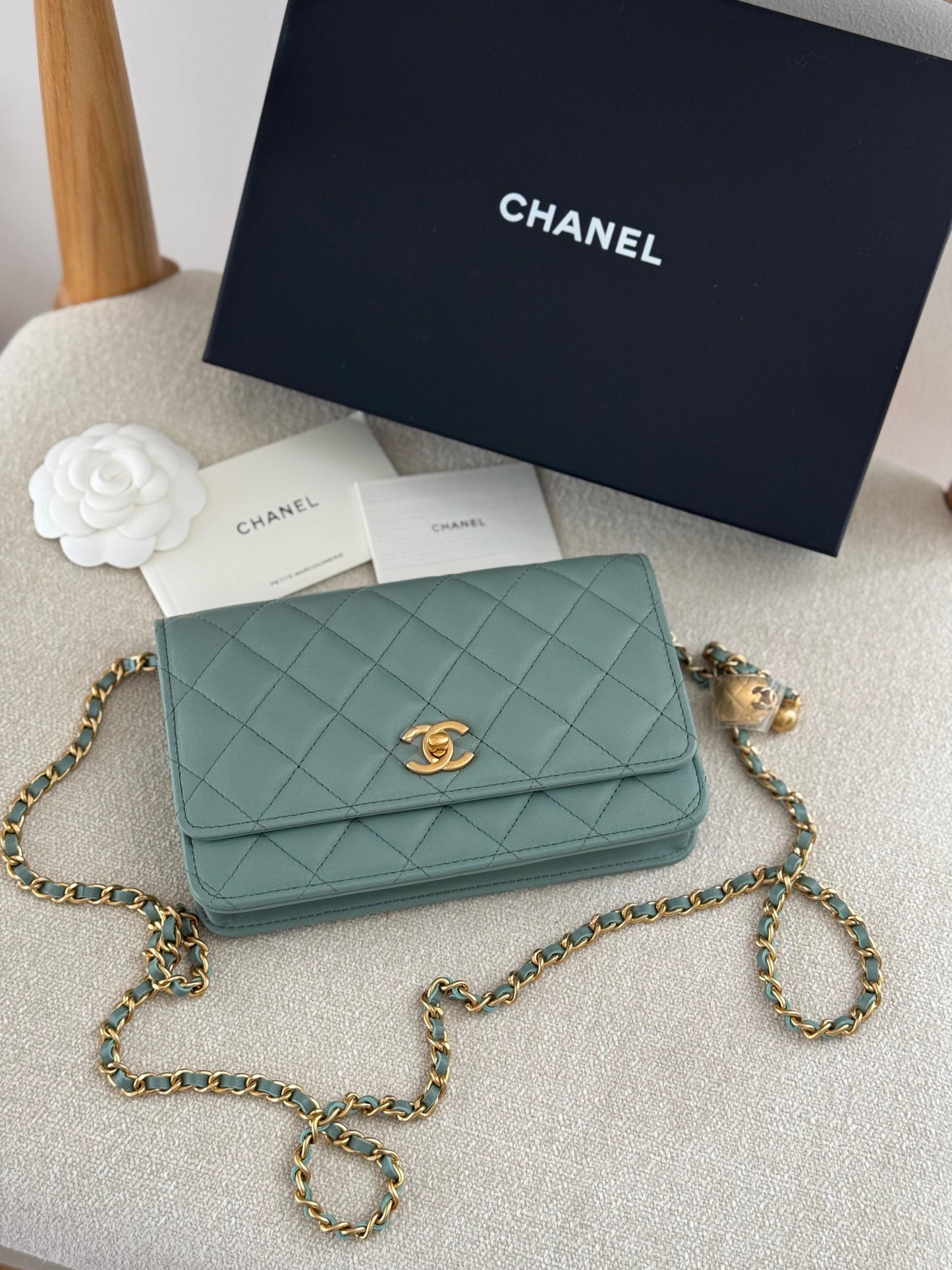 MasterBrands Luxury Chanel CC Quilted Caviar Leather Bag
