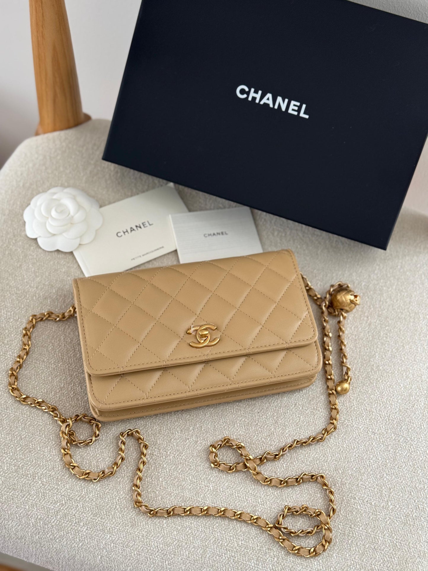 MasterBrands Luxury Chanel CC Quilted Caviar Leather Bag
