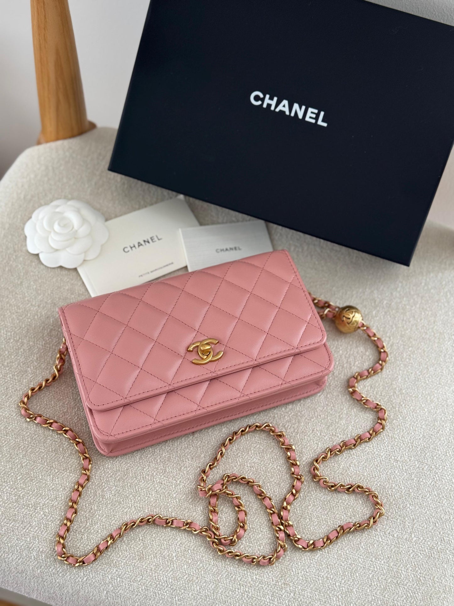 MasterBrands Luxury Chanel CC Quilted Caviar Leather Bag
