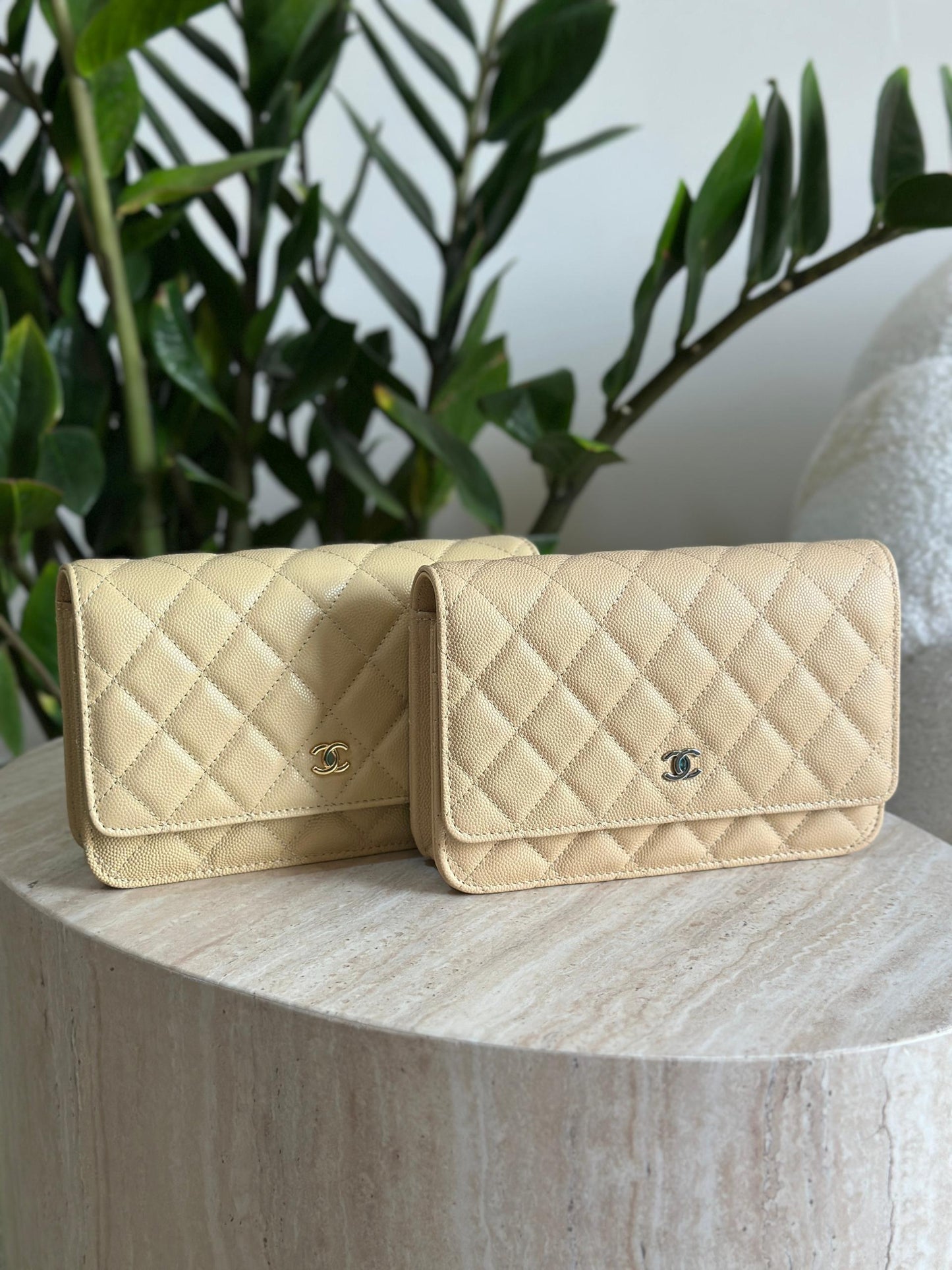 Chanel Caviar Quilted Wallet on Chain | Master Brands