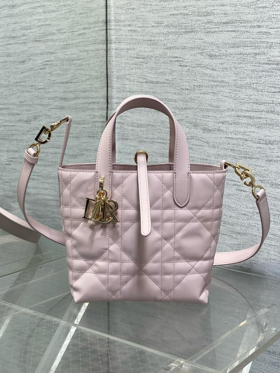 Dior mini
