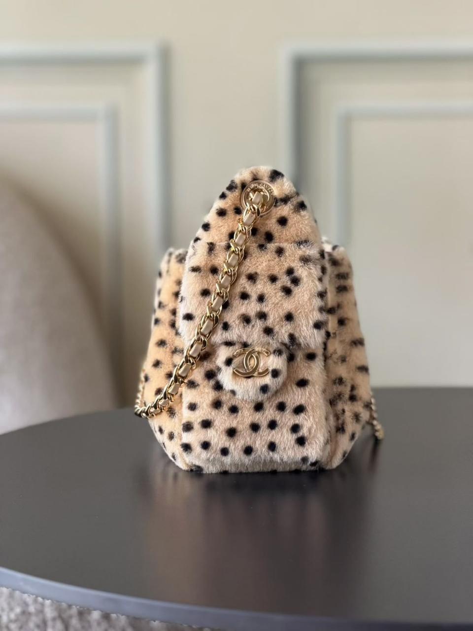 Chanel 25 Mini Handbags|Master Brand