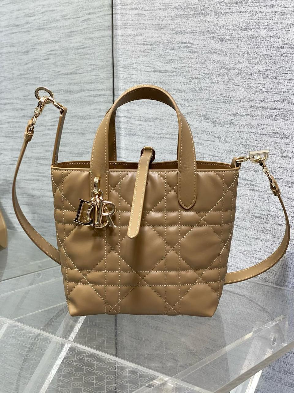 Dior mini