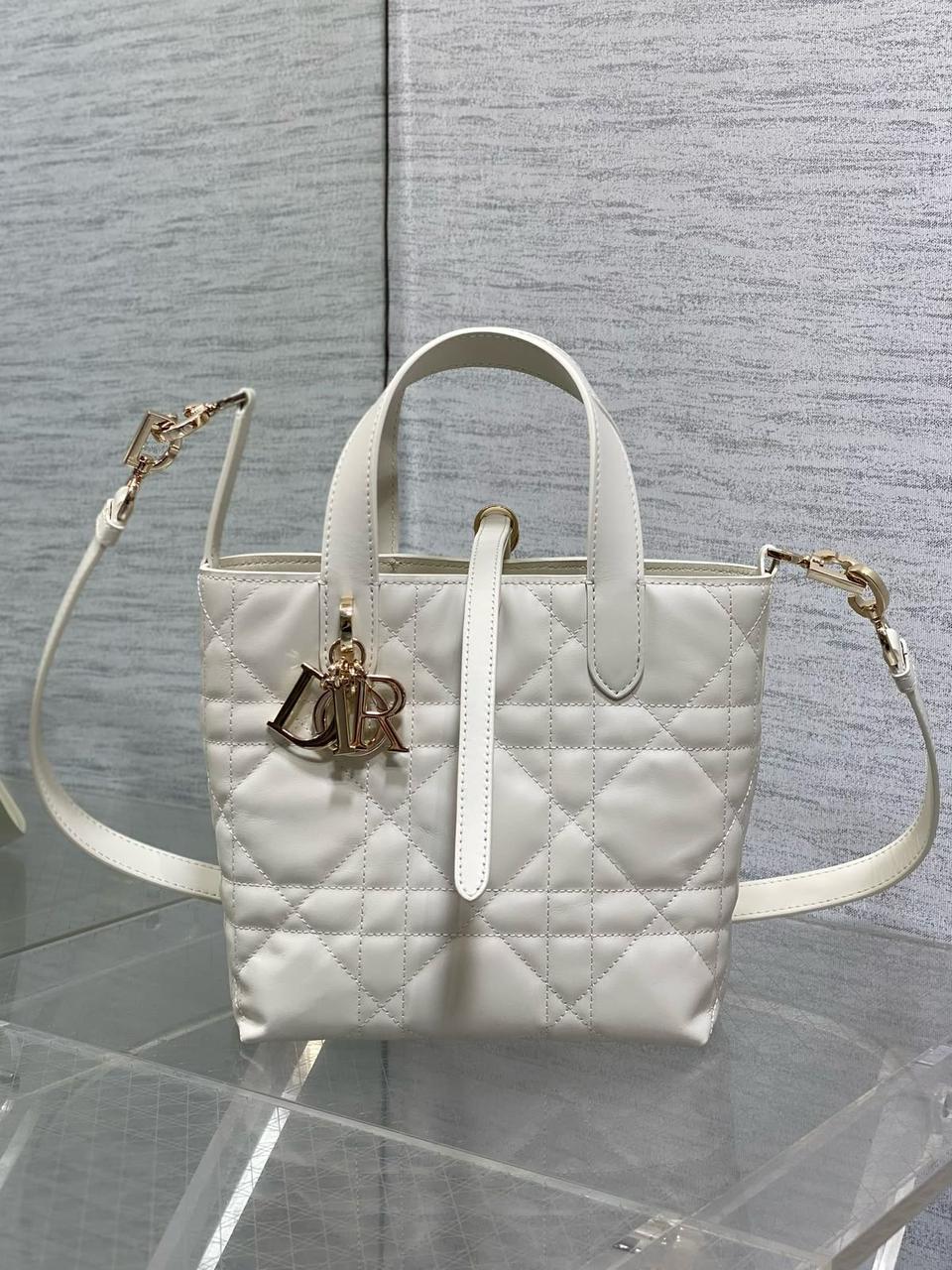 Dior mini