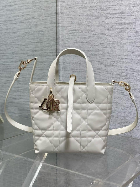 Dior mini