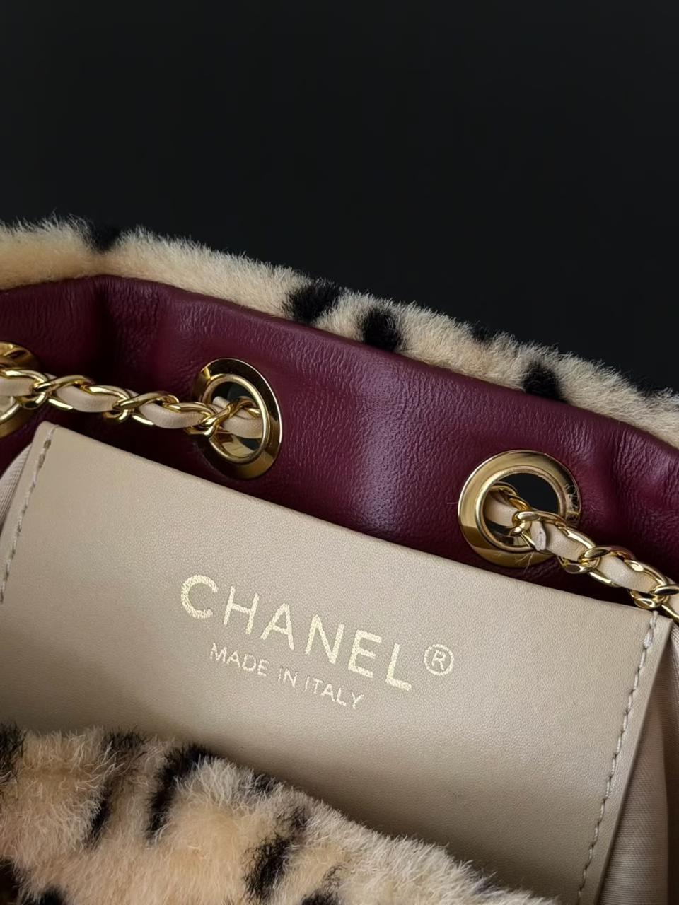 Chanel 25 Mini Handbags|Master Brand