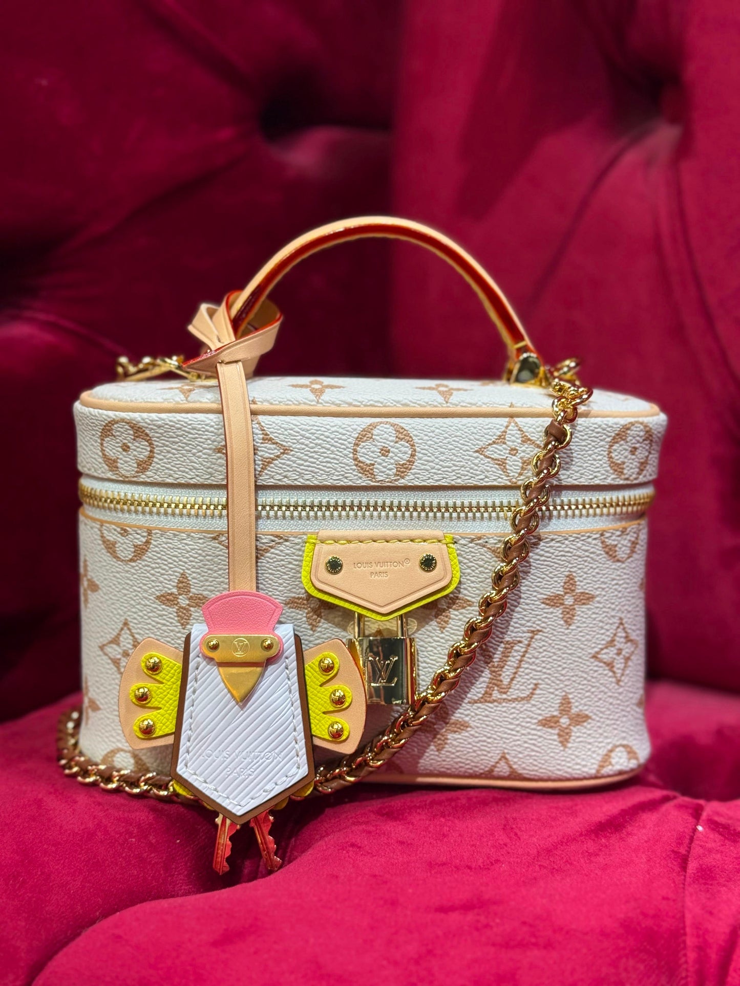Louis Vuitton Vanity Chain Pouch|Master Brand