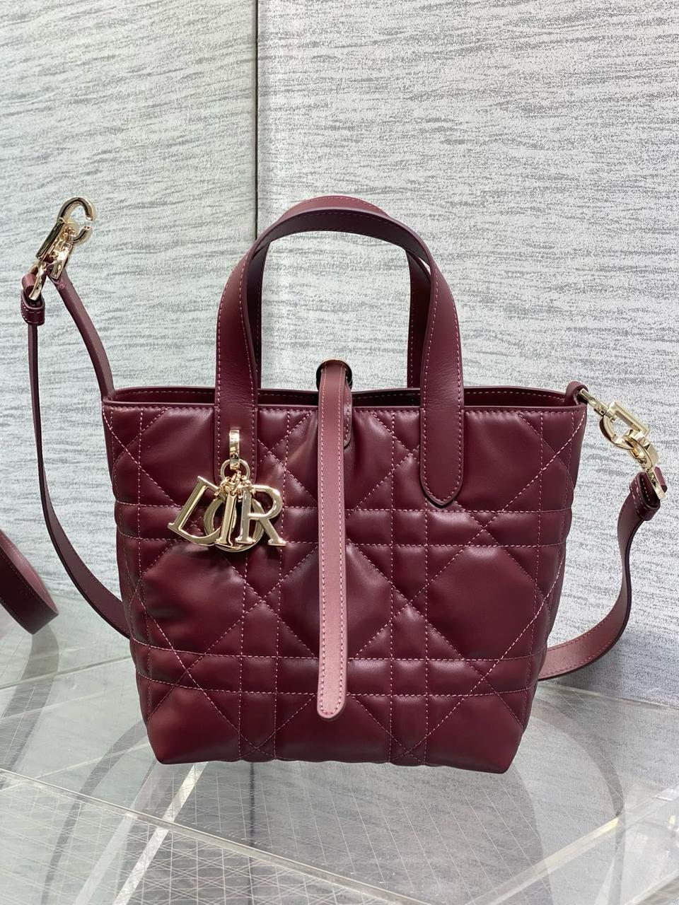 Dior mini