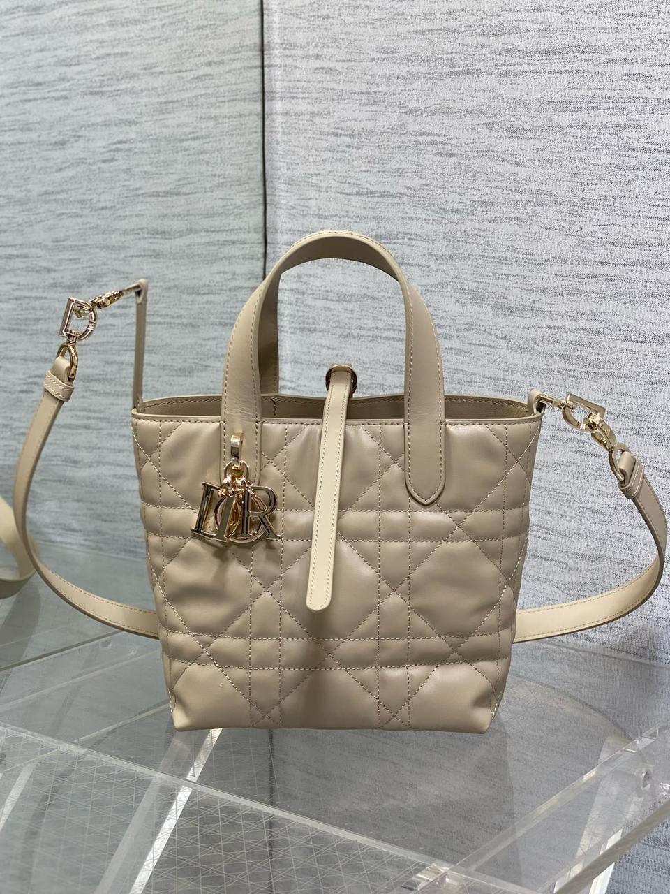 Dior mini