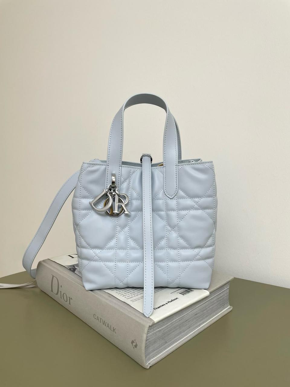 Dior mini