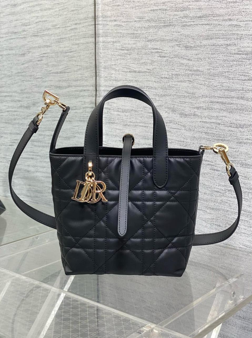 Dior mini