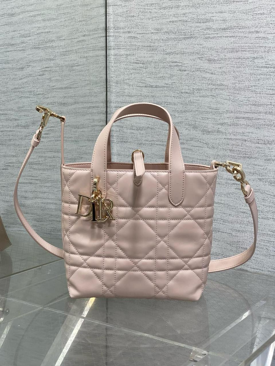 Dior mini
